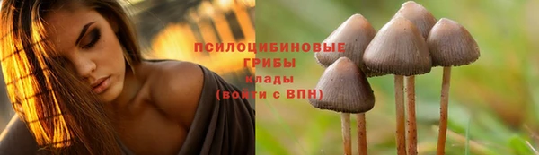 ALPHA-PVP Белокуриха