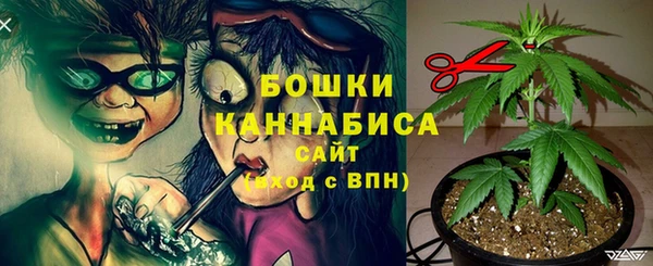 молекула духа Белоозёрский